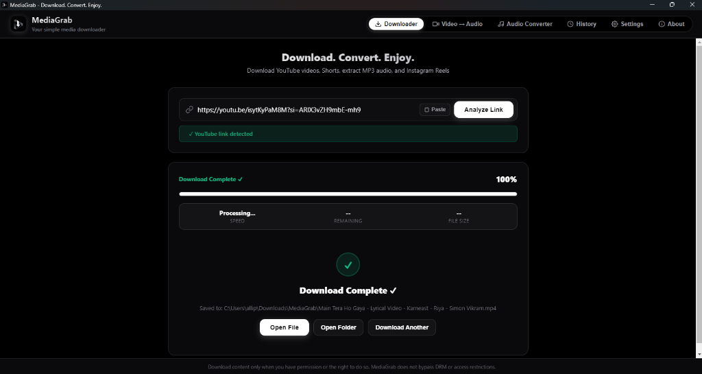 MediaGrabs Step 03 - Download